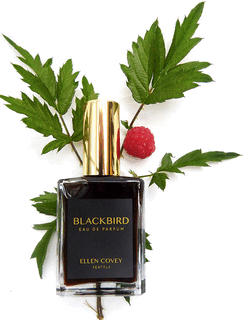 Blackbird – унисекс-аромат от Olympic Orchids