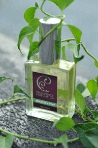Branch & Vine – натуральный парфюм от Providence Perfume Co