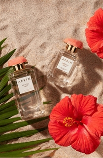 Hibiscus Palm Aerin Lauder